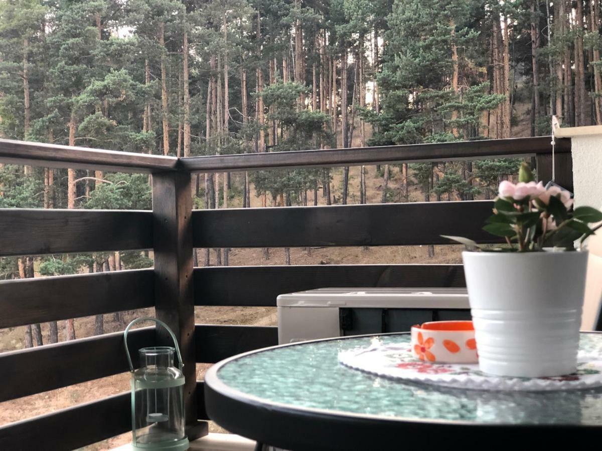 Borov Park 3 Leilighet Velingrad Eksteriør bilde